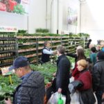 fiera_vita_in_campagna_marzo_2018_montichiari_brescia_gallery_sito_15