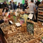 fiera_vita_in_campagna_marzo_2018_montichiari_brescia_gallery_sito_17