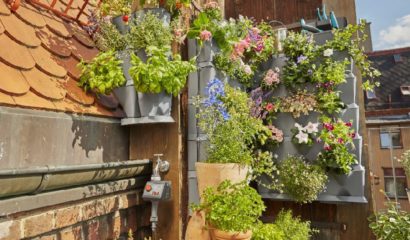 giardino verticale piante aromatiche terrazzo balcone