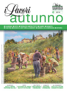 Copertina_Autunno_2018-588K