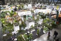 Mypant & Garden
