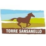 torre-sansanello