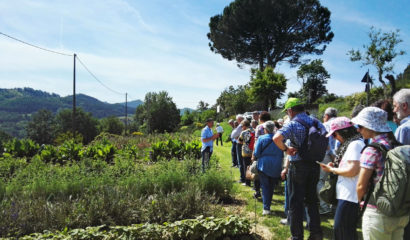 Foto-fattoria-didattica