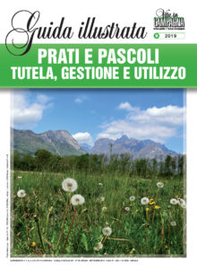 Copertina-Suppl-prato