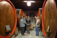 Cantine aperte San Martino