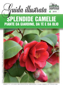 novembre-2019-guida-camelie-ok