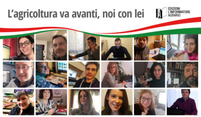 Porzione_uno (1)