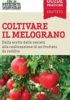 COLTIVARE IL MELOGRANO<br>Dalla scelta delle varietà alla realizzazione di un frutteto da reddito