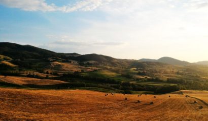 campi-campagna-italiana