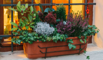 balcone-autunno-inverno-vaso