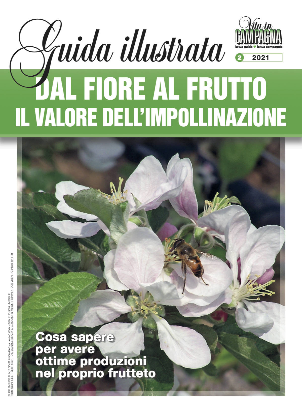 Dal Fiore Al Frutto Il Valore Dell Impollinazione Vita In Campagna