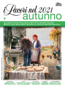 Copertina-Lavori-autunno