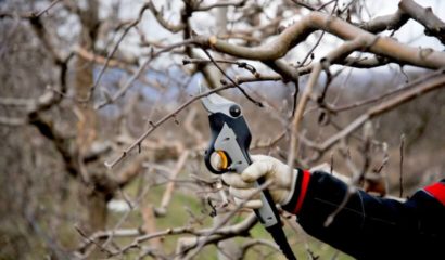 forbici-potatura-elettriche-batteria-cavo