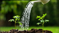 annaffiare-senza-sprecare-acqua