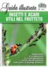 INSETTI E ACARI UTILI NEL FRUTTETO