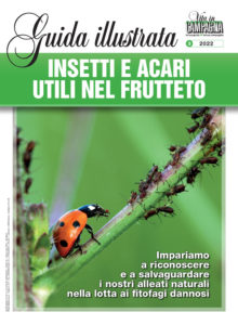 COPERTINA-SUPPLEMENTO