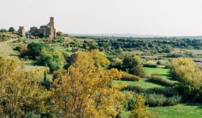 paesaggio-agrario-tuscani-viterbo-lazio-biodiversità-agricola (1)