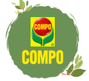logoCompo