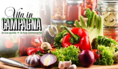 ortaggi-conserva-tagliere-cucina
