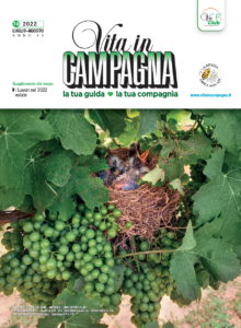 vita-in-campagna-copertina-numero-luglio-agosto-2022