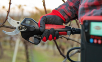 forbici-elettriche-batteria-potatura