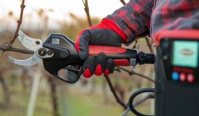 forbici-elettriche-batteria-potatura