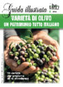 VARIETA’ DI OLIVO: UN PATRIMONIO TUTTO ITALIANO