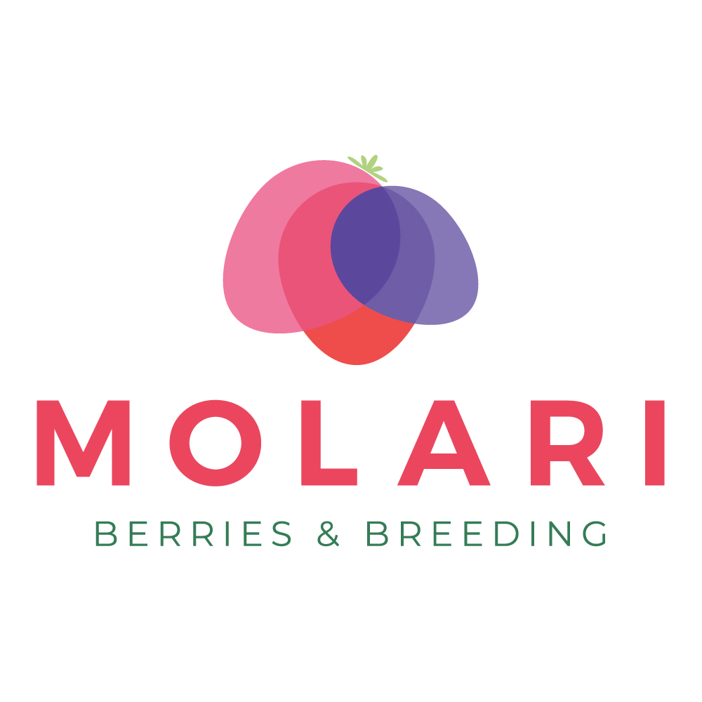 Molari-Logo-RGB-isfc-PNG