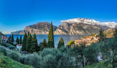 torbole-oliveto-olivi-lago-di-garda