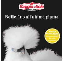 Cargill_belle fino all’ultima piuma