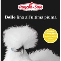 Cargill_belle fino all’ultima piuma