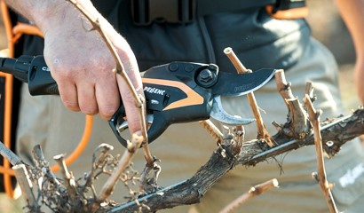 Forbici da potatura a batteria per vigneto o frutteto - Vita in