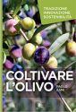 COLTIVARE L’OLIVO<br>Tradizione Innovazione Sostenibilità