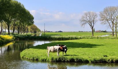 La «Giornata mondiale dell’acqua», occasione per riflettere sulla gestione delle risorse idriche in agricoltura