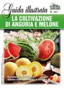 LA COLTIVAZIONE DI ANGURIA E MELONE