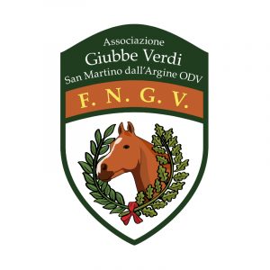 giubbe-verdi