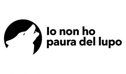 io-non-ho-paura-del-lupo