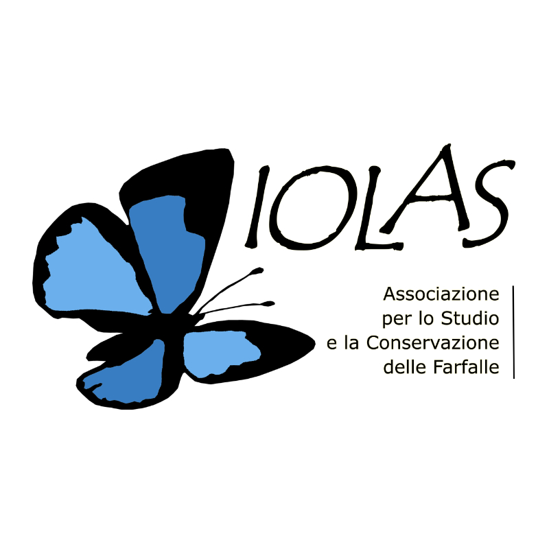 iolas