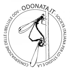 odonata