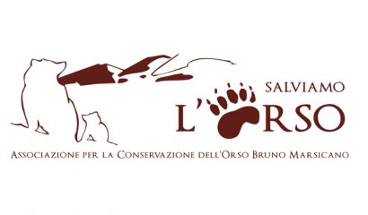 salviamo-orso