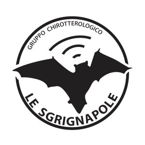 sgrignapole