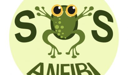 sos-anfibi