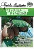 LA COLTIVAZIONE DELL’ACTINIDIA