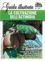 LA COLTIVAZIONE DELL’ACTINIDIA