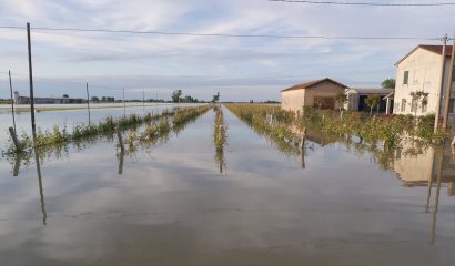 I video arrivati in redazione dalle zone alluvionate dell’Emilia-Romagna