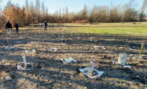 bosco-biodiversità-istituto-agrario-stefani-bentegodi-buttapietra-verona