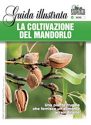 LA COLTIVAZIONE DEL MANDORLO