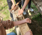 bee-hotel-asolo