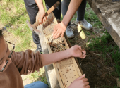 bee-hotel-asolo