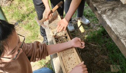 bee-hotel-asolo